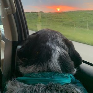 Meet your Posher, Fred